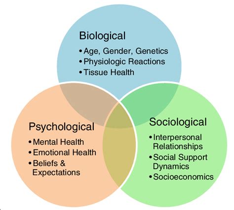 are kinks hereditary|Current biopsychosocial science on understanding kink